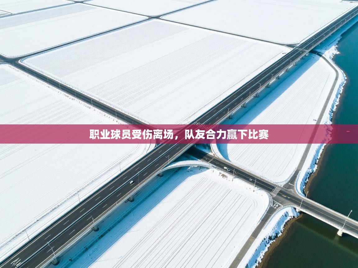 职业球员受伤离场，队友合力赢下比赛  第1张