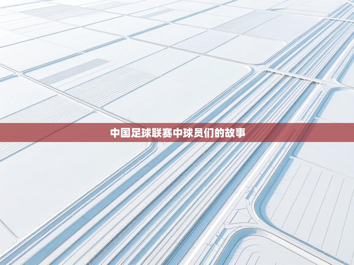 中国足球联赛中球员们的故事  第2张