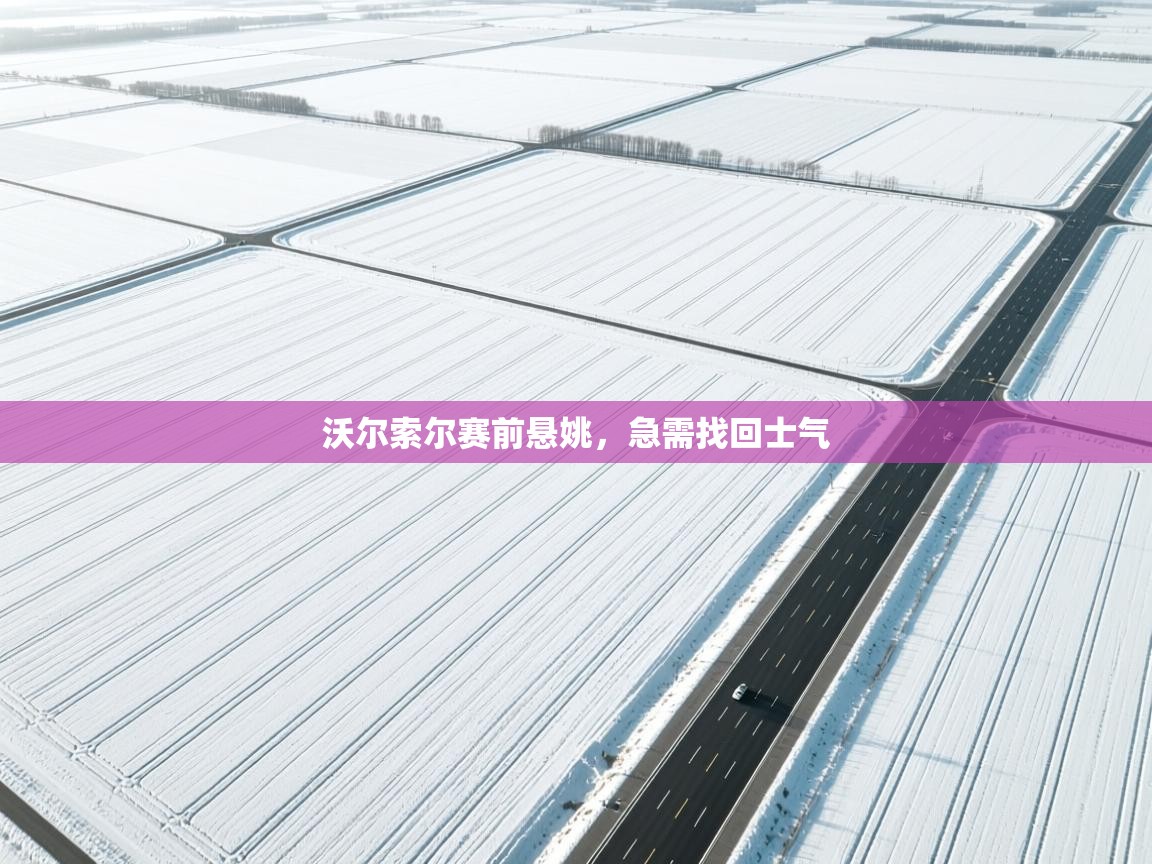 沃尔索尔赛前悬姚，急需找回士气  第1张